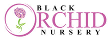Black Orchid Nursery